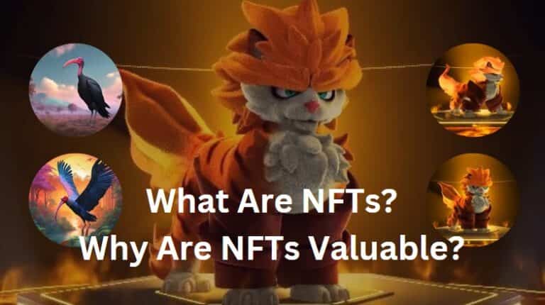 What Are NFTs? A Complete Guide to NFT