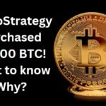 Microstrategy bitcoin purchase