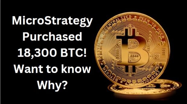 Microstrategy bitcoin purchase