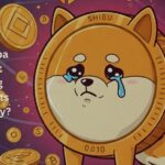 Shiba Inu Coin