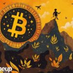 bitcoin record high regulation