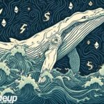 white whale hyperliquid profit