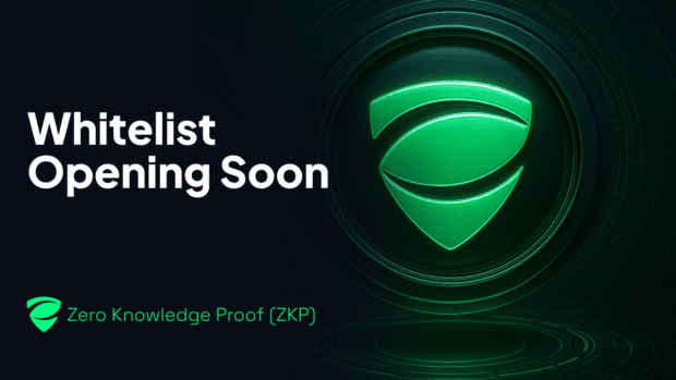 A Technical Deep Dive into The Zero Knowledge Proof's Parallel and Recursive Proofs - Whitelist Opens Soon.
