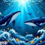 Ethereum Whale Activities and Market Impact