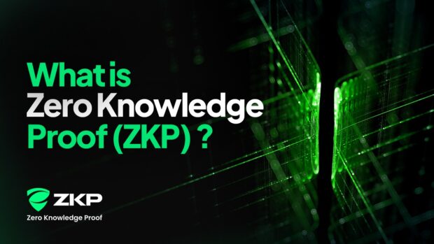 No Early Discounts, No Gatekeeping: How ZKP’s Daily Presale Auction Flips the Script on Token Distribution