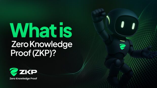 What Is Zero Knowledge Proof (ZKP)? A $100M Privacy Focused Layer 1 Network Built for Real World Utility