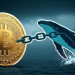 Bitcoin stalls as whales add 200K BTC demand fades