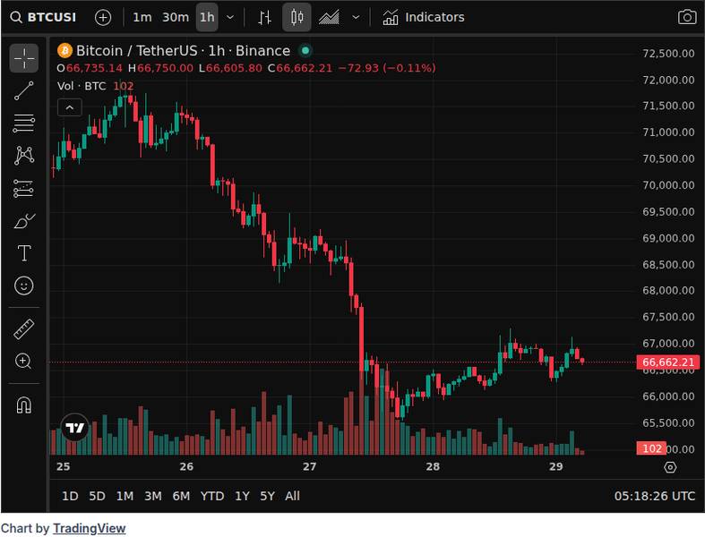 CoinGecko price chart for Bitcoin showing decline from October 2025 highs to current levels around $66,660