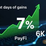 crypto market rally payfi 7 percent gains btc 76000 thumbnail