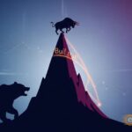 willy woo bitcoin bull trap warning thumbnail