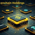 binance leads crypto onchain holdings 136b coinbase satoshi thumbnail