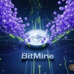 bitmine acquires 101000 eth thumbnail