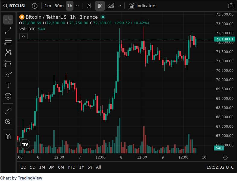 گزارش فاینستل: متخصصان آماده سقوط بیت کوین در فوریه 2026 می‌شوند، آیا BTC بهبود خواهد یافت؟