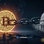 us government transfers seized bitcoin linked to steroid probe thumbnail