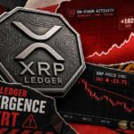 messari xrp ledger activity rose 35 despite xrp price slump thumbnail