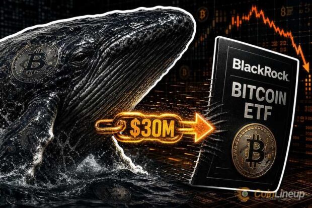 mystery whale 30 million exit blackrock bitcoin etf thumbnail 4