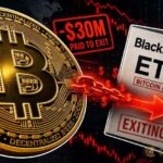 mystery whale 30 million exit blackrock bitcoin etf thumbnail 5