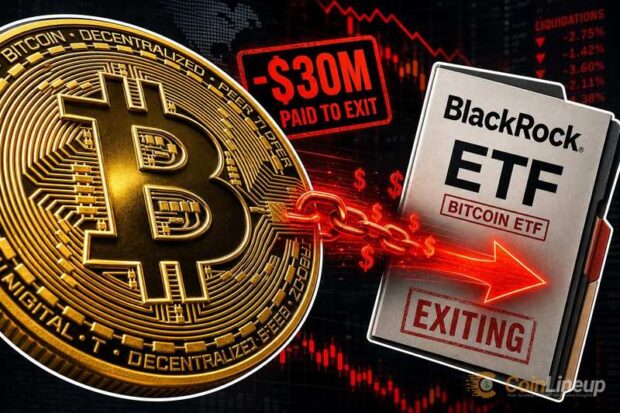 mystery whale 30 million exit blackrock bitcoin etf thumbnail 5